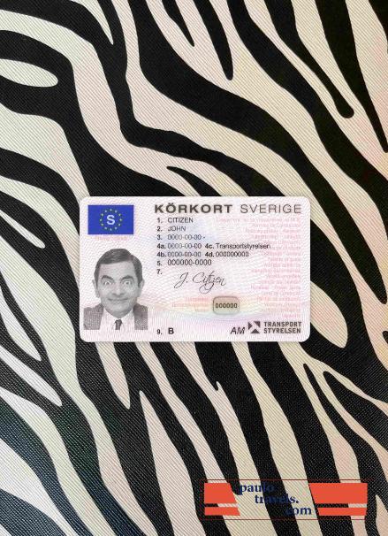 Sweden DL (2009 2016) photolook FRONT PSD template